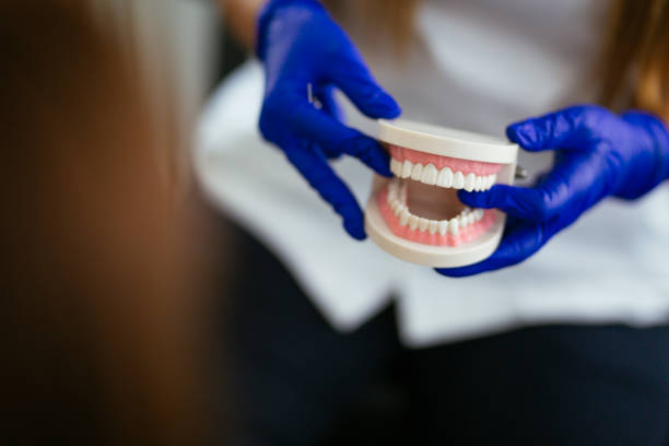 Best Laser Dentistry  in Longboat Key, FL
